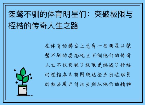 桀骜不驯的体育明星们：突破极限与桎梏的传奇人生之路